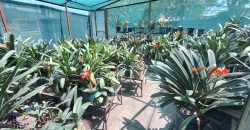 3 Bedroom House for Sale in Vaalpark