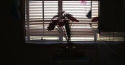 3 Bedroom House for Sale in Vaalpark