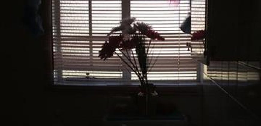 3 Bedroom House for Sale in Vaalpark