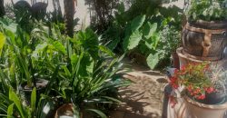 3 Bedroom Apartment / Flat for Sale in Vaalpark
