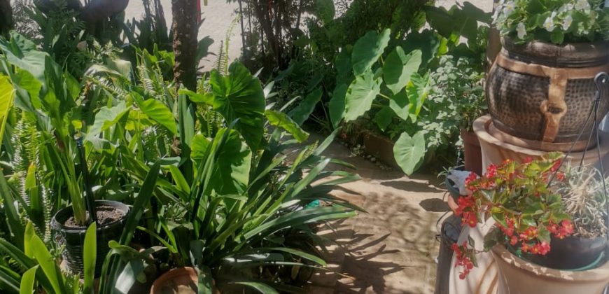 3 Bedroom Apartment / Flat for Sale in Vaalpark