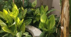 3 Bedroom Apartment / Flat for Sale in Vaalpark