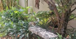 3 Bedroom Apartment / Flat for Sale in Vaalpark