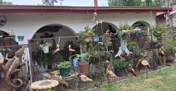3 Bedroom House for Sale in Sasolburg Ext 4